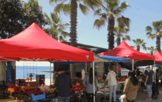 Mercado Blanes y alrededores