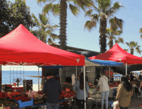 Mercados semanales de Blanes y alrededores