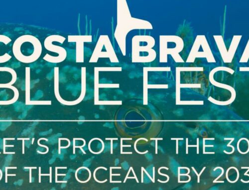 Responsible Tourism in Blanes: Costa Brava Blue Fest